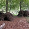 Obóz Szkoleniowo-Kondycyjny Bieszczady 2016